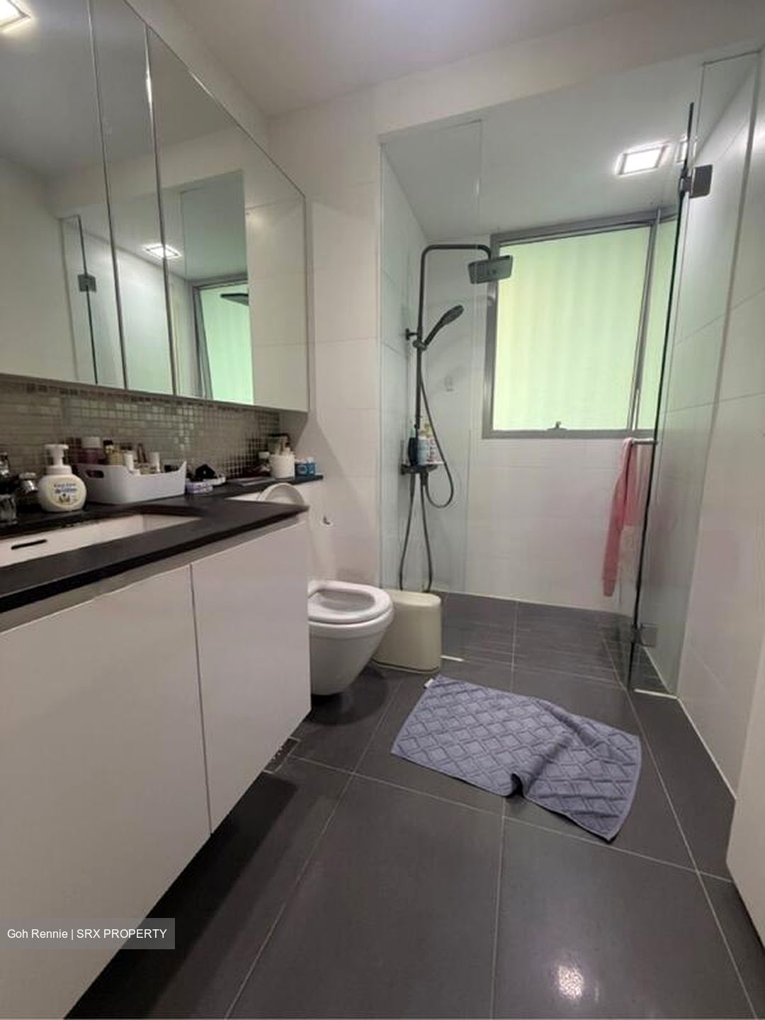 The Minton (D19), Condominium #479892031